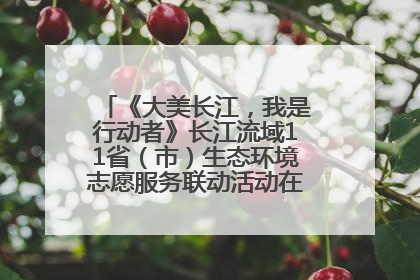 《大美长江，我是行动者》长江流域11省（市）生态环境志愿服务联动活动在江苏南通成功启动