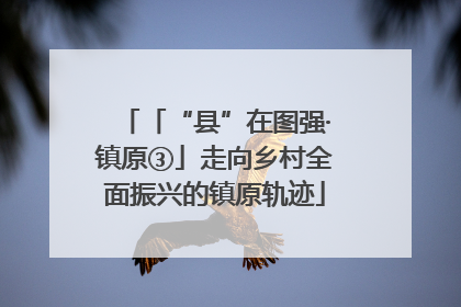 「“县”在图强·镇原③」走向乡村全面振兴的镇原轨迹