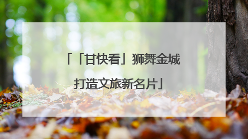 「甘快看」狮舞金城 打造文旅新名片