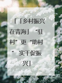 「乡村振兴在青海」“驻村”更“助村” 实干促振兴