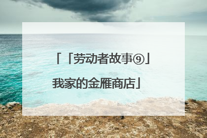 「劳动者故事⑨」我家的金雁商店
