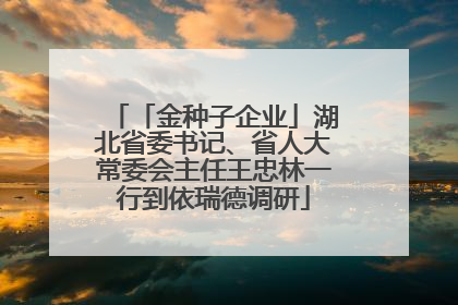 「金种子企业」湖北省委书记、省人大常委会主任王忠林一行到依瑞德调研