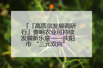 「高质量发展调研行」奏响农业可持续发展新乐章——庆阳市 “三元双向” 循环农业模式观察
