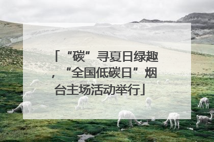 “碳”寻夏日绿趣，“全国低碳日”烟台主场活动举行