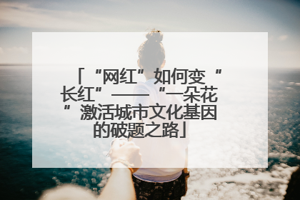 “网红”如何变“长红”——“一朵花”激活城市文化基因的破题之路