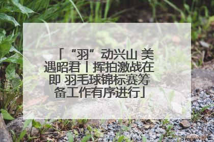 “羽”动兴山 美遇昭君丨挥拍激战在即 羽毛球锦标赛筹备工作有序进行