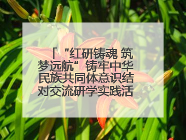 “红研铸魂 筑梦远航”铸牢中华民族共同体意识结对交流研学实践活动开营