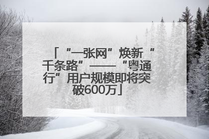 “一张网”焕新“千条路”——“粤通行”用户规模即将突破600万