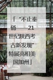 “不止秦俑——21世纪陕西考古新发现”特展亮相美国加州