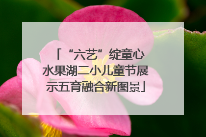 “六艺”绽童心 水果湖二小儿童节展示五育融合新图景