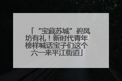 “宝藏苏城”碧凤坊有礼！新时代青年榜样喊话宝子们这个六一来平江街道