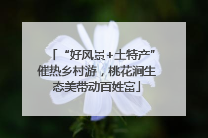 “好风景+土特产”催热乡村游，桃花涧生态美带动百姓富