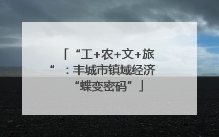 “工+农+文+旅”：丰城市镇域经济“蝶变密码”