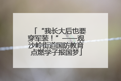 “我长大后也要穿军装！”——观沙岭街道国防教育点燃学子报国梦
