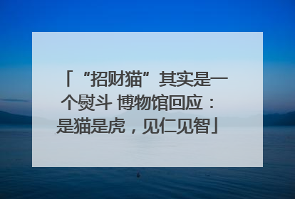 “招财猫”其实是一个熨斗 博物馆回应：是猫是虎，见仁见智