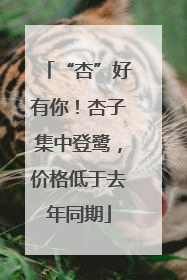 “杏”好有你！杏子集中登鹭，价格低于去年同期