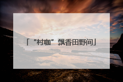 “村咖”飘香田野间