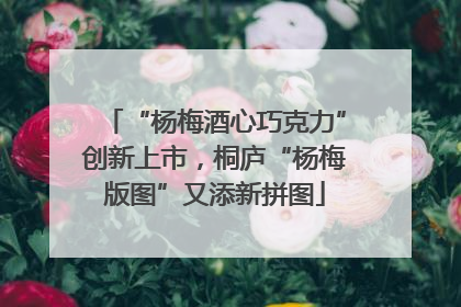 “杨梅酒心巧克力”创新上市，桐庐“杨梅版图”又添新拼图