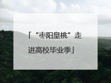 “枣阳皇桃”走进高校毕业季