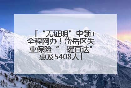 “无证明”申领+全程网办！岱岳区失业保险“一键直达”惠及5408人