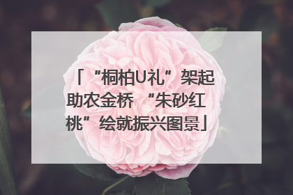 “桐柏U礼”架起助农金桥 “朱砂红桃”绘就振兴图景