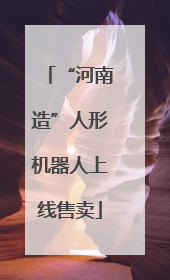 “河南造”人形机器人上线售卖