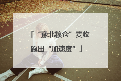 “豫北粮仓”麦收跑出“加速度”