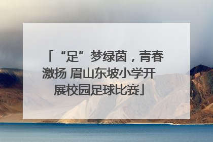 “足”梦绿茵，青春激扬 眉山东坡小学开展校园足球比赛