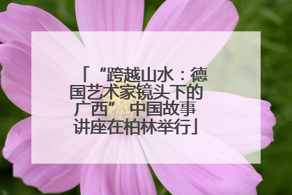 “跨越山水：德国艺术家镜头下的广西” 中国故事讲座在柏林举行