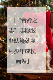 “青衿之志”志愿服务队绘就乡村少年成长画卷