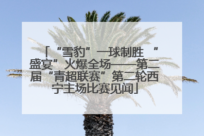 “雪豹”一球制胜 “盛宴”火爆全场——第二届“青超联赛”第二轮西宁主场比赛见闻