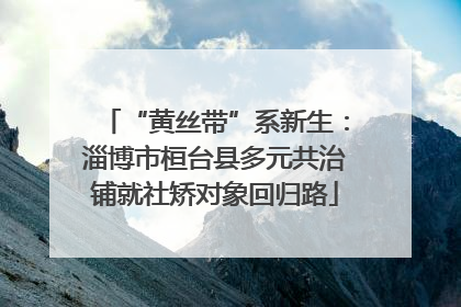 “黄丝带”系新生：淄博市桓台县多元共治铺就社矫对象回归路