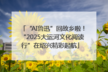 “AI鲁迅”回故乡啦！“2025大运河文化阅读行”在绍兴精彩起航