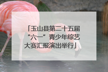 玉山县第二十五届“六一”青少年综艺大赛汇报演出举行