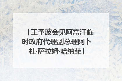王予波会见阿富汗临时政府代理副总理阿卜杜·萨拉姆·哈纳菲