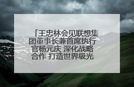 王忠林会见联想集团董事长兼首席执行官杨元庆 深化战略合作 打造世界级光电子信息产业集群