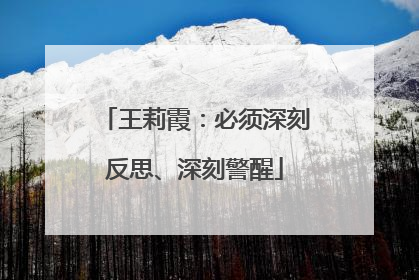 王莉霞：必须深刻反思、深刻警醒