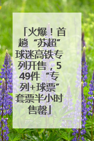 火爆！首趟“苏超”球迷高铁专列开售，549件“专列+球票”套票半小时售罄