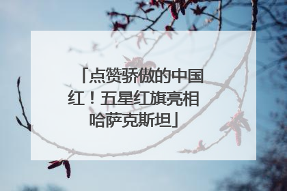 点赞骄傲的中国红！五星红旗亮相哈萨克斯坦