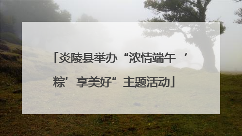 炎陵县举办“浓情端午‘粽’享美好”主题活动