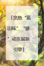 烹热“蓝田味”“链”动发展新引擎
