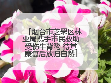 烟台市芝罘区林业局携手市民救助受伤牛背鹭 待其康复后放归自然