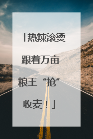 热辣滚烫 跟着万亩粮王“抢”收麦！