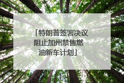 特朗普签署决议 阻止加州禁售燃油新车计划