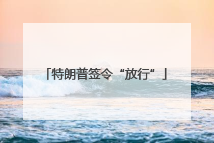 特朗普签令“放行”