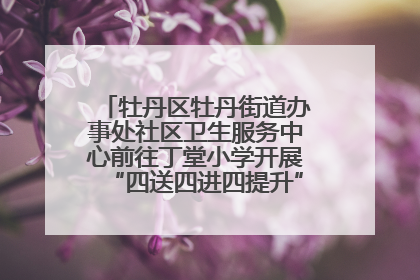 牡丹区牡丹街道办事处社区卫生服务中心前往丁堂小学开展“四送四进四提升”及无烟日宣传活动