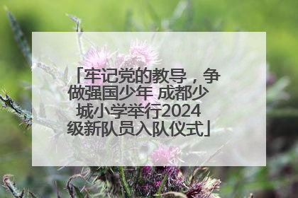 牢记党的教导，争做强国少年 成都少城小学举行2024级新队员入队仪式