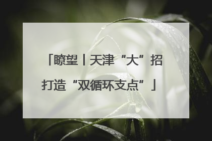 瞭望丨天津“大”招打造“双循环支点”