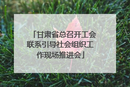 甘肃省总召开工会联系引导社会组织工作现场推进会