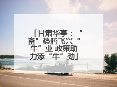 甘肃华亭：“畜”势腾飞兴“牛”业 政策助力添“牛”劲